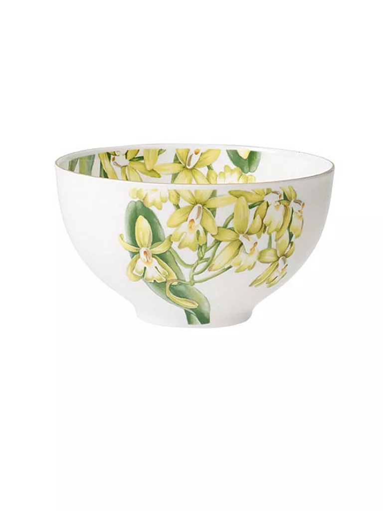 VILLEROY & BOCH SIGNATURE | Schüssel - Bol "Amazonia" 13cm | Multicolor