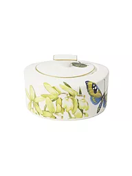 VILLEROY & BOCH SIGNATURE | Zucker-/Marmeladendose "Amazonia" 0,33l | Multicolor