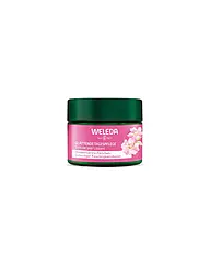 WELEDA | Crema facial - Cuidado de día de rosa silvestre y té blanco 40 ml | Sin color