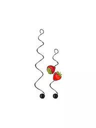 WMF | Fruchtspiess BASIC 2Stk. Cromargan/Sil.  | Plata