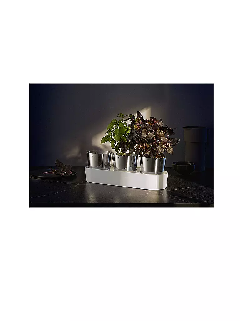WMF | Set de jardín de hierbas aromáticas Gourmet para interiores, 3 piezas, Cromargan / Blanco | Plata