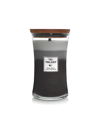 WOODWICK | Vela de reloj de arena con mecha crepitante de 454 g Triology Warm Woods