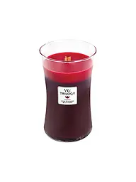 WOODWICK | Vela de reloj de arena con mecha crepitante de 454 g Trilogy Sun-Ripend Berries | Rojo oscuro