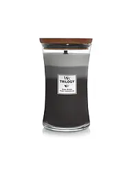 WOODWICK | Vela de reloj de arena con mecha crepitante de 454 g Trilogy Sun-Ripend Berries | Gris