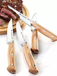 ZASSENHAUS | Juego de 4 cuchillos para carne de madera de pakka | Marrón