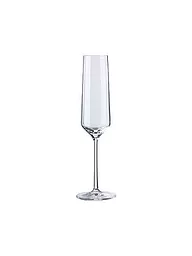ZWIESEL GLAS | Copa de champán PURE | Transparente